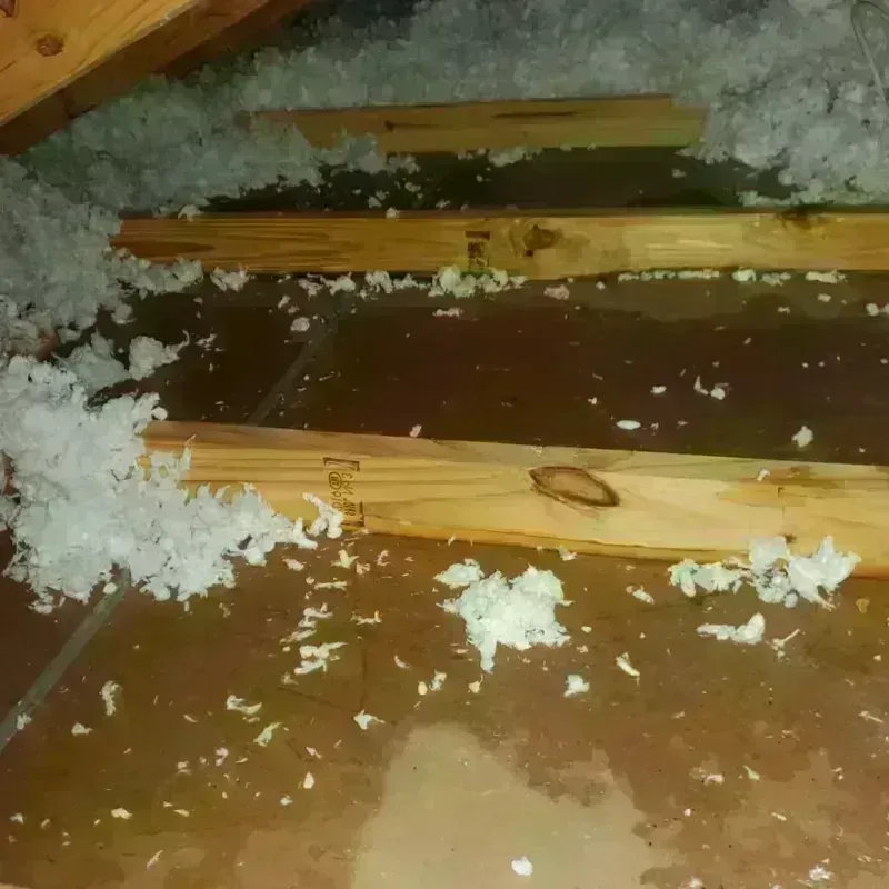 Attic Water Damage in Chehalis, WA