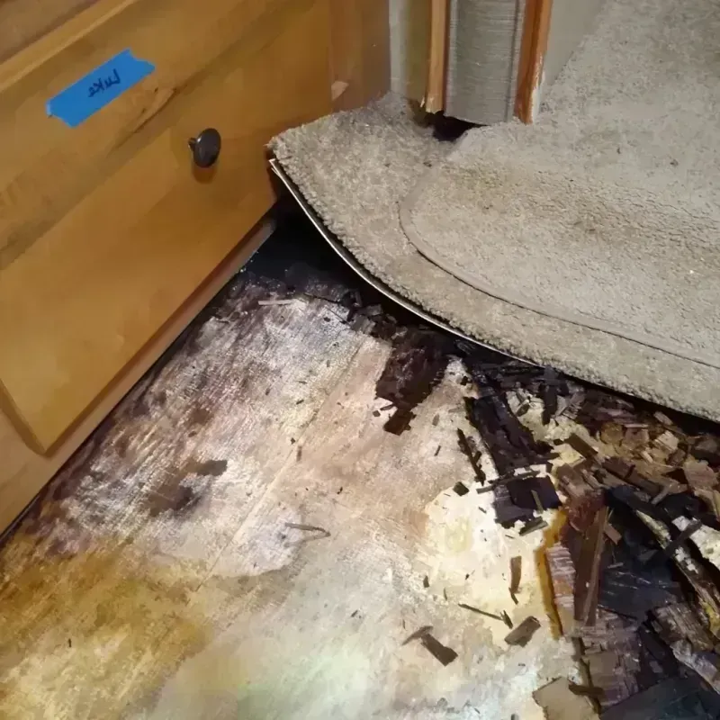 Best Wood Floor Water Damage Service in Chehalis, WA